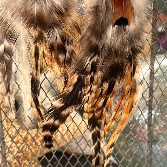 New Boho Brown Pheasant Feather Earrings 🪶 - Picture 10 of 10